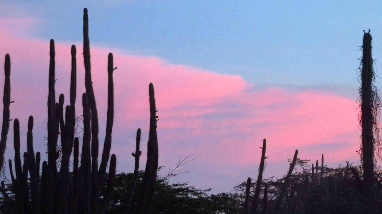 Photo of Outdoor in San Miguel