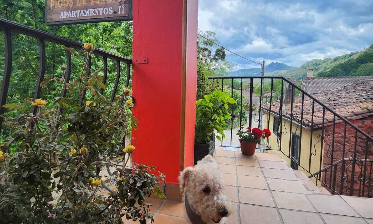 Photo of Outdoor in Soto de Cangas