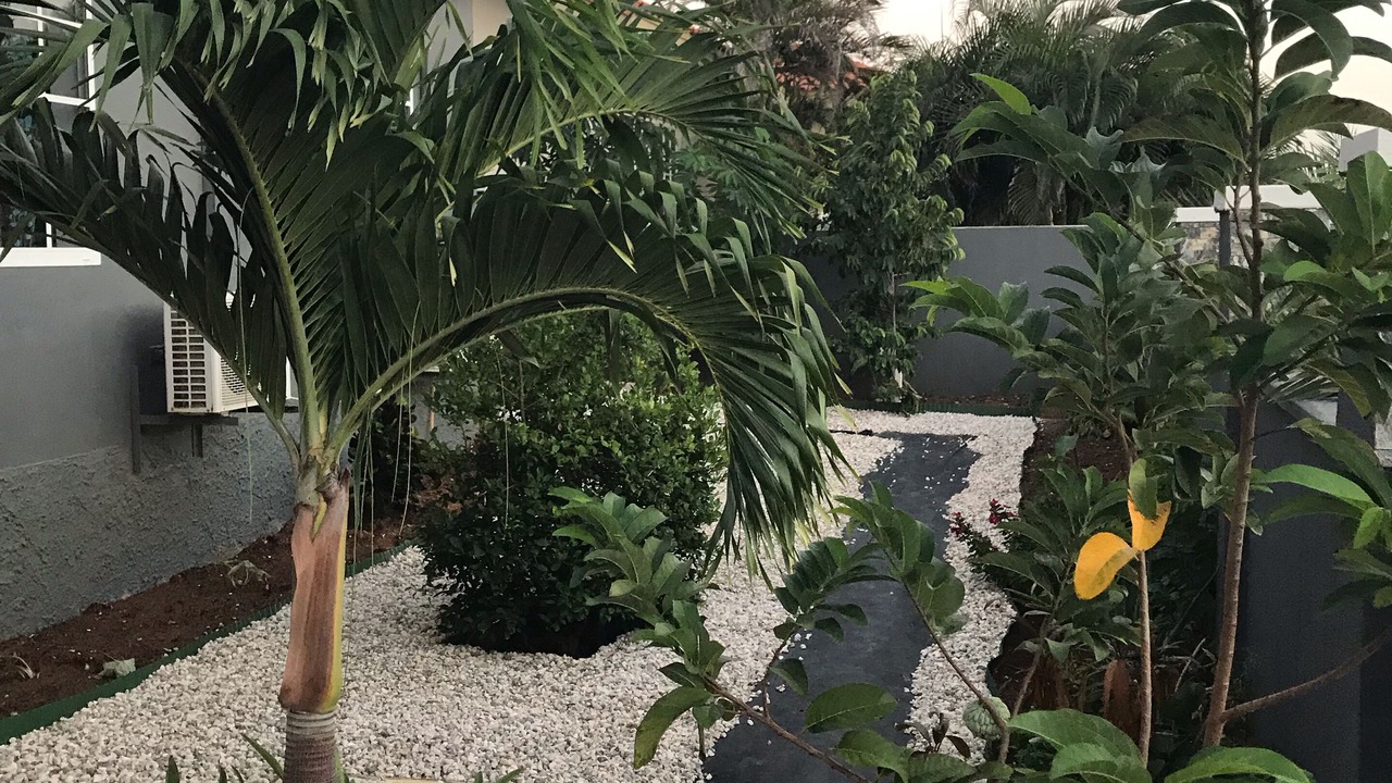 Photo of Outdoor in San Barbola
