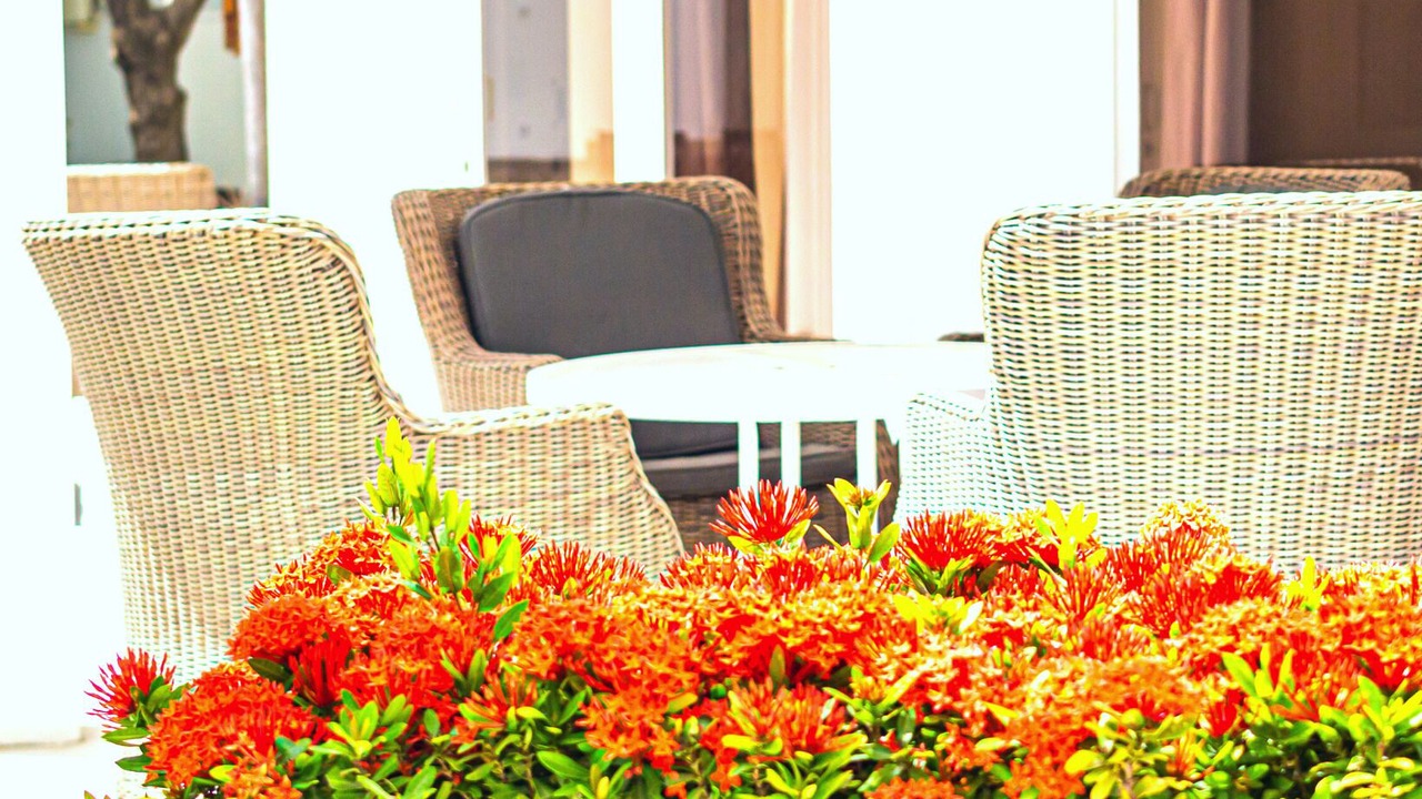 Photo of Outdoor in Noord