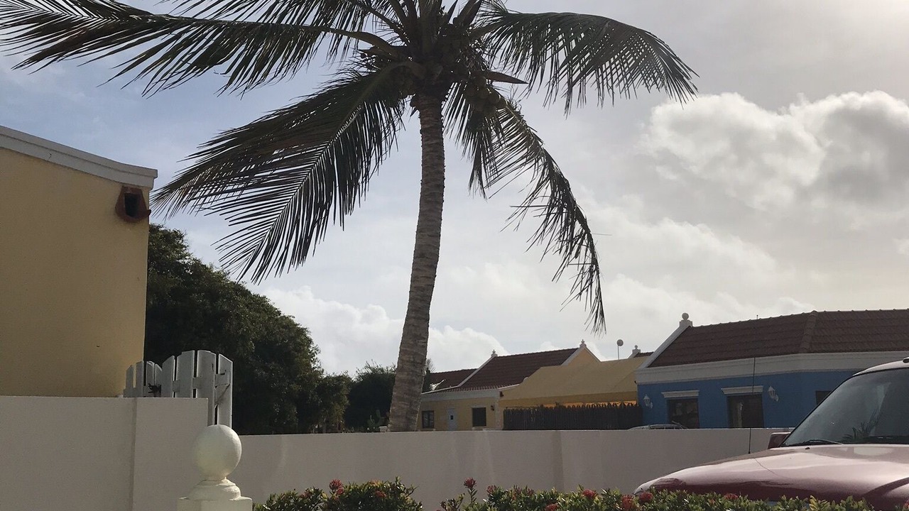Photo of Outdoor in Alto Vista