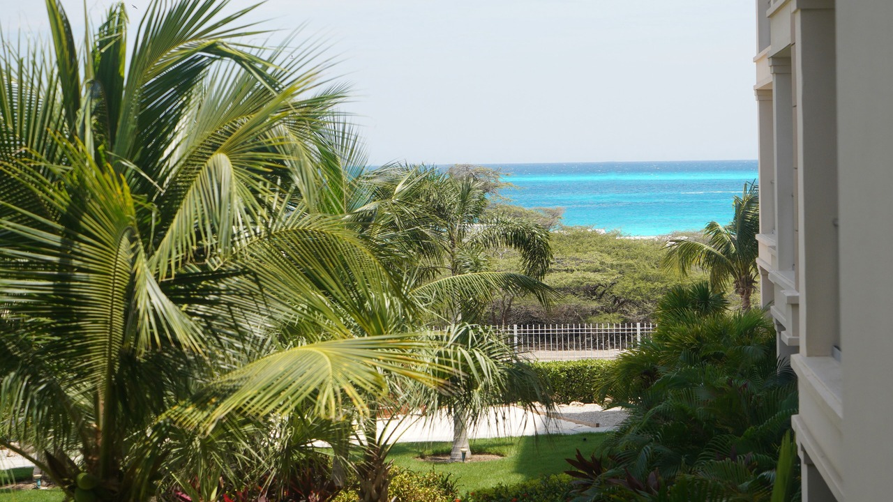 Photo of Outdoor in Oranjestad-West