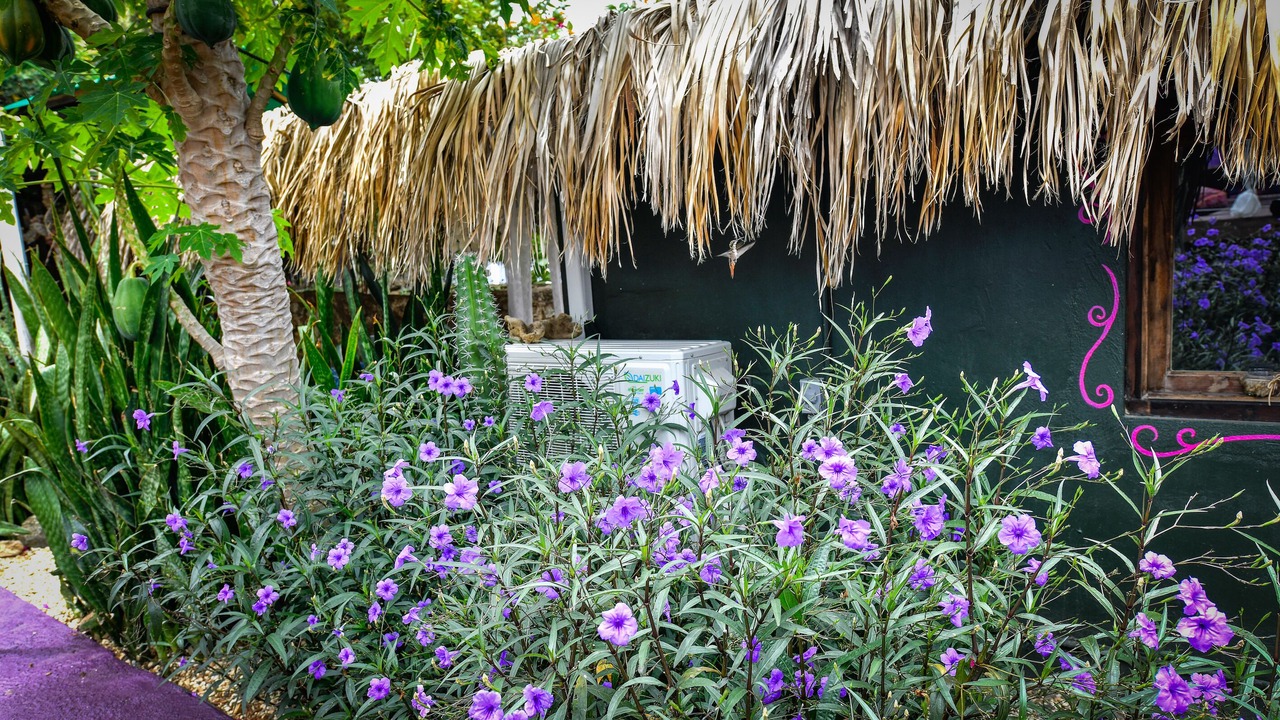 Photo of Outdoor in Santa Cruz