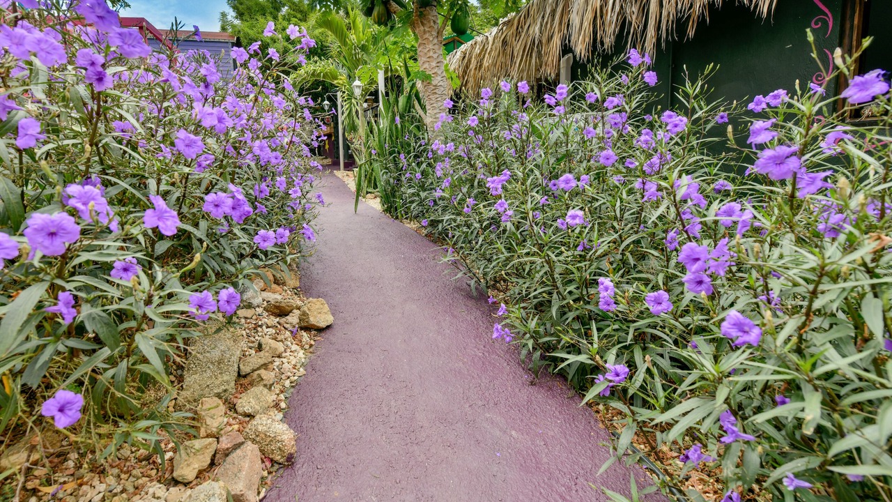 Photo of Outdoor in Santa Cruz
