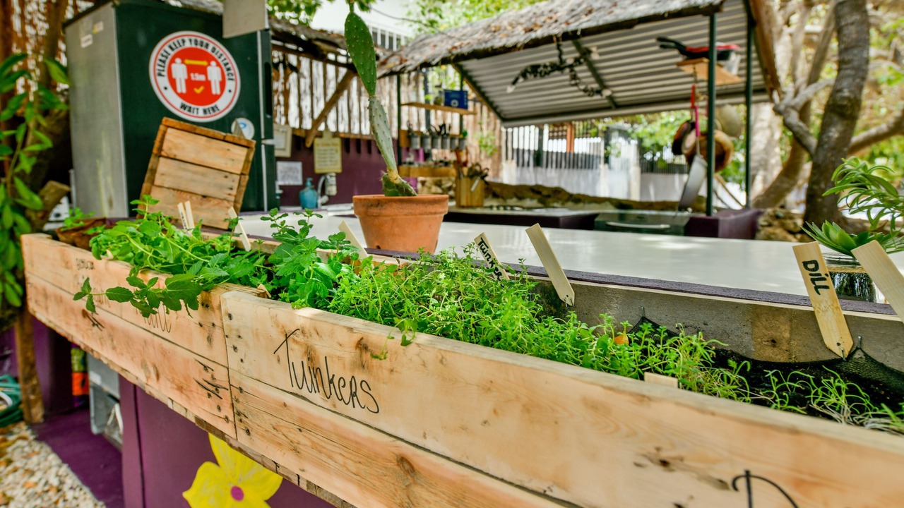 Photo of Outdoor in Santa Cruz