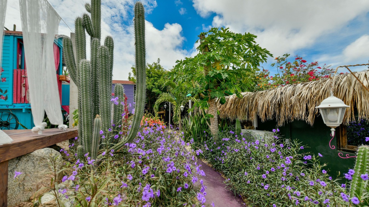 Photo of Outdoor in Santa Cruz