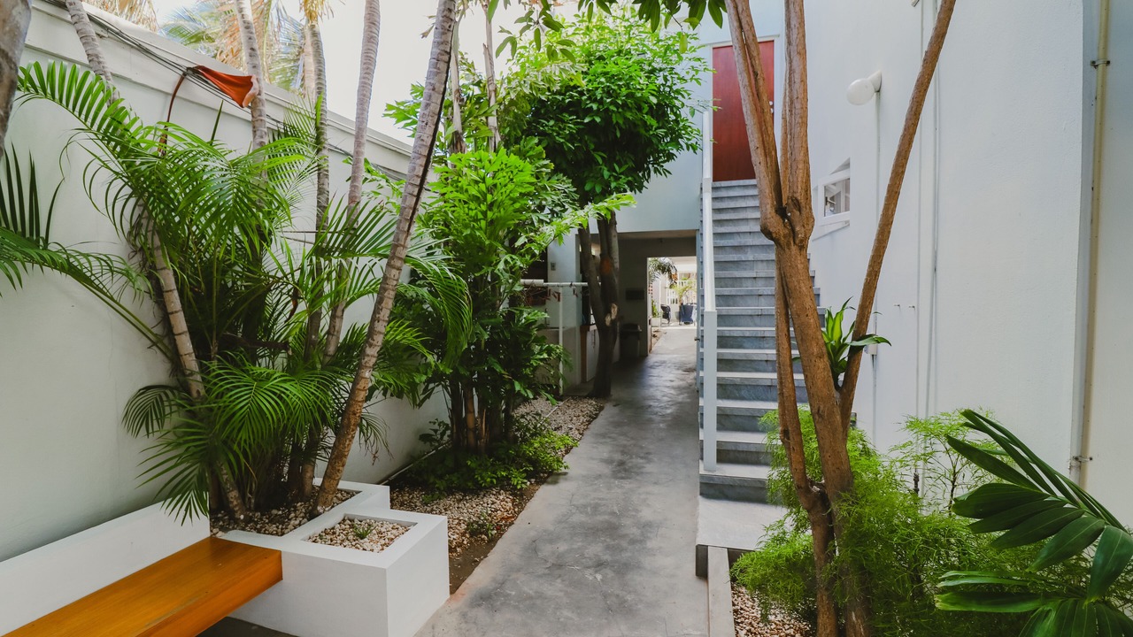 Photo of Outdoor in Cunucu Abao