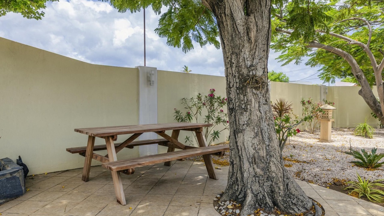 Photo of Outdoor in Oranjestad