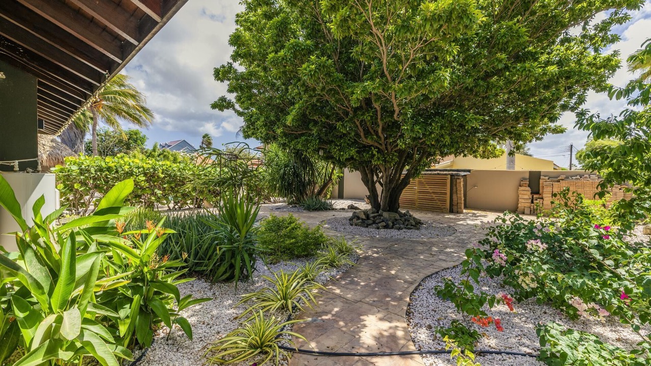 Photo of Outdoor in Moko