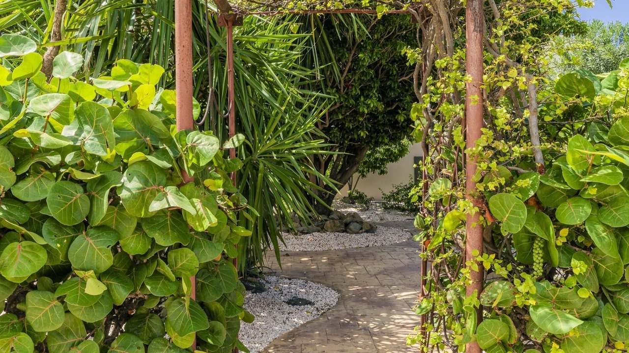 Photo of Outdoor in Moko