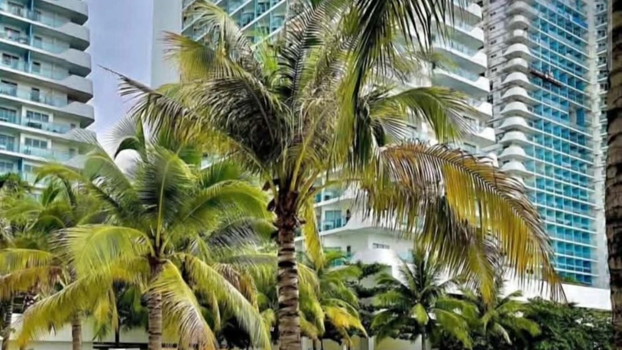 Photo of Outdoor in San Fernando