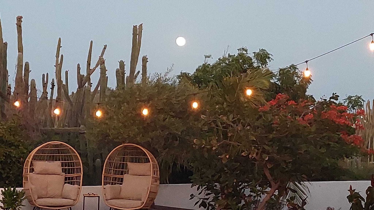 Photo of Patio Balcony in Shiribana