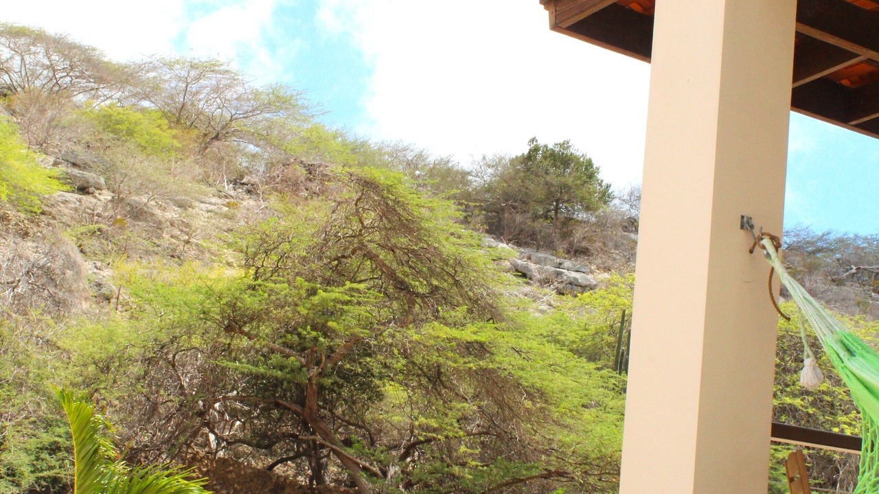 Photo of Outdoor in Savaneta