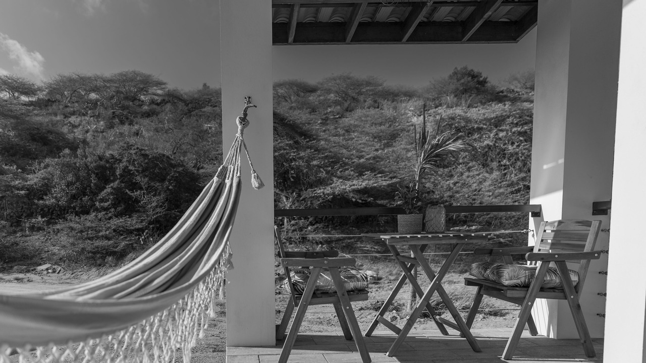 Photo of Patio Balcony in Savaneta