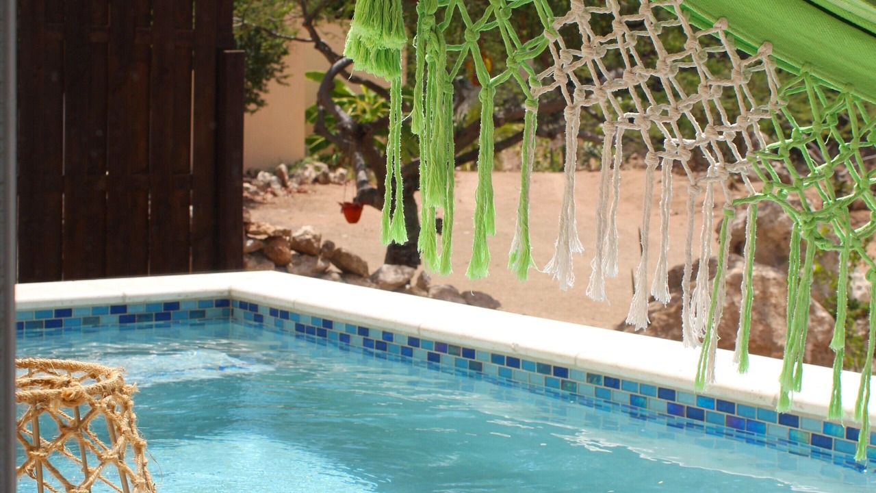 Photo of Outdoor in Savaneta