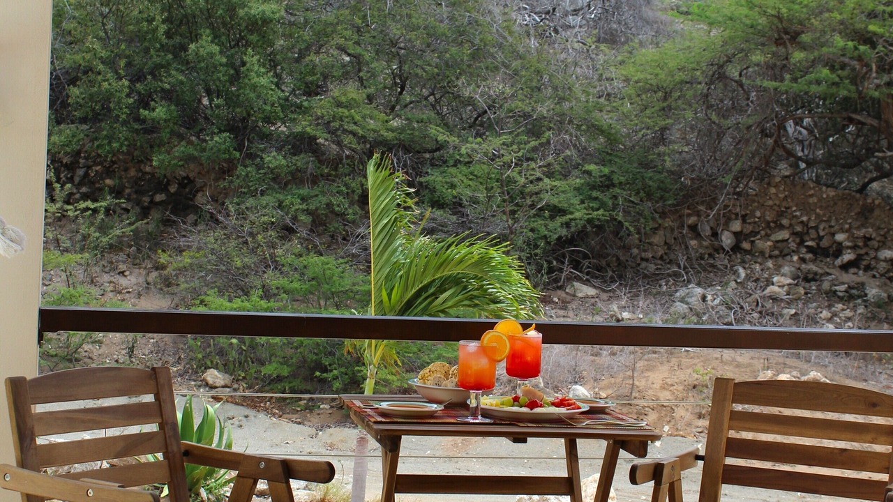 Photo of Outdoor in Savaneta