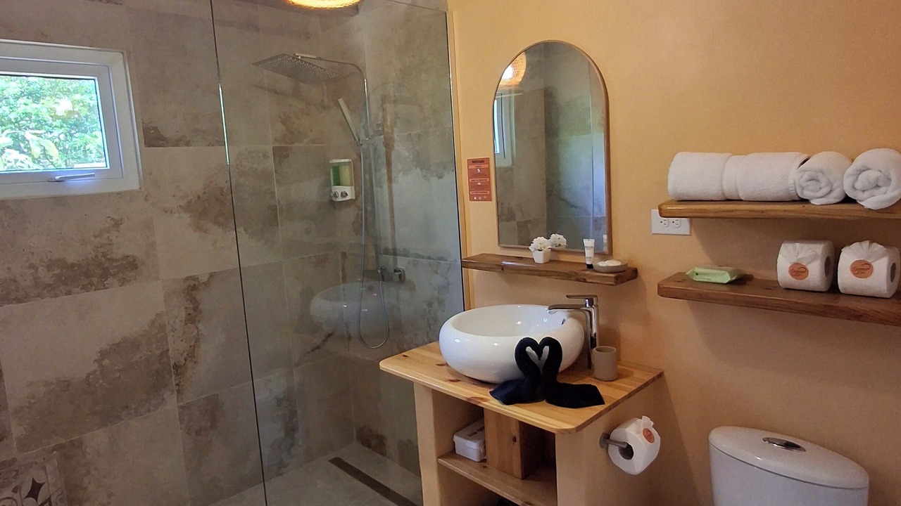 Photo of Bathroom in Alto Vista