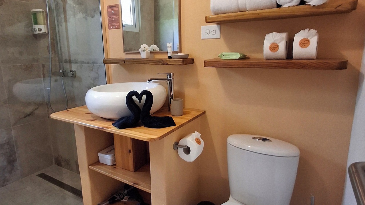 Photo of Bathroom in Alto Vista