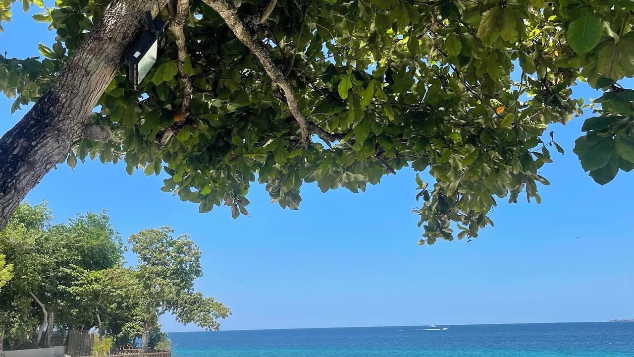 Photo of Others in Lapu-Lapu