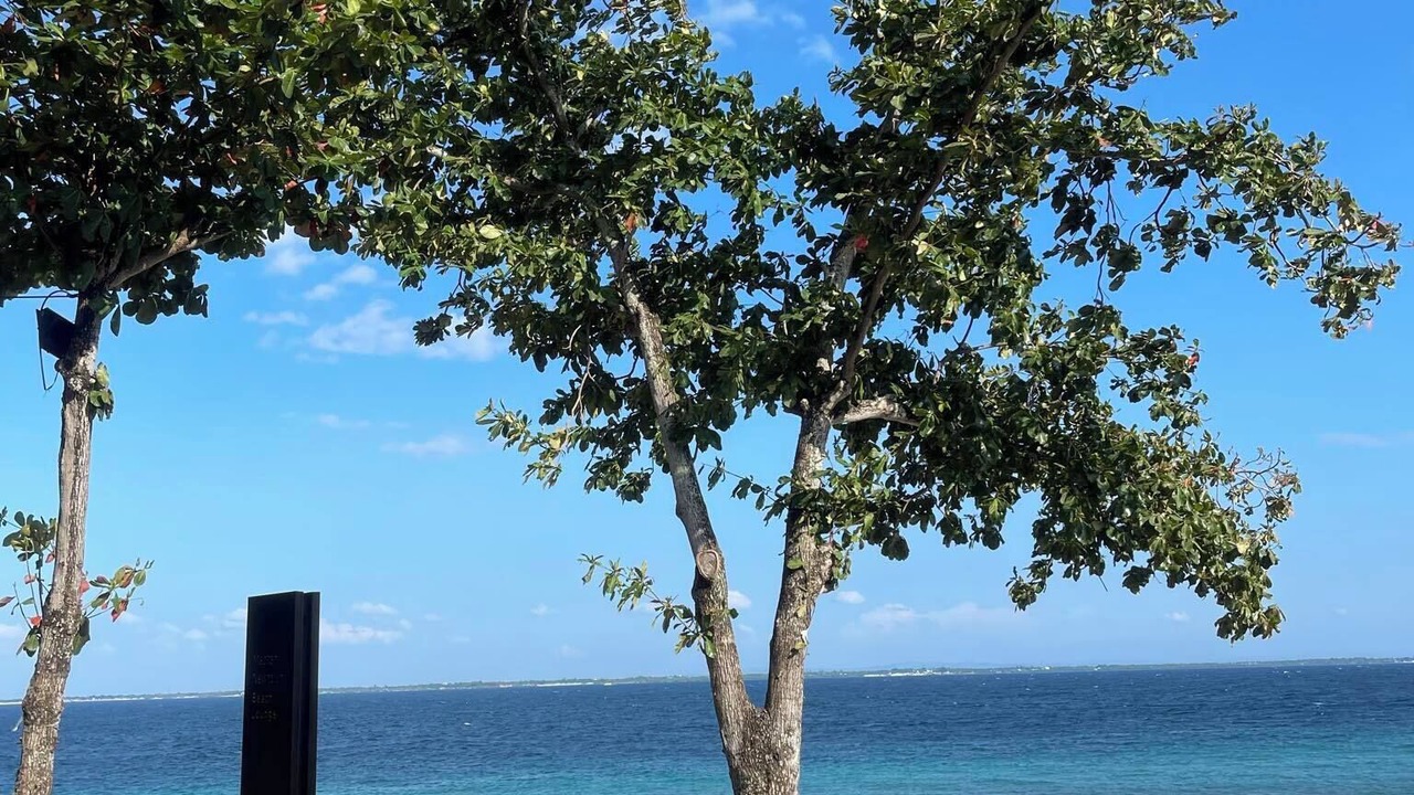 Photo of Outdoor in Lapu-Lapu