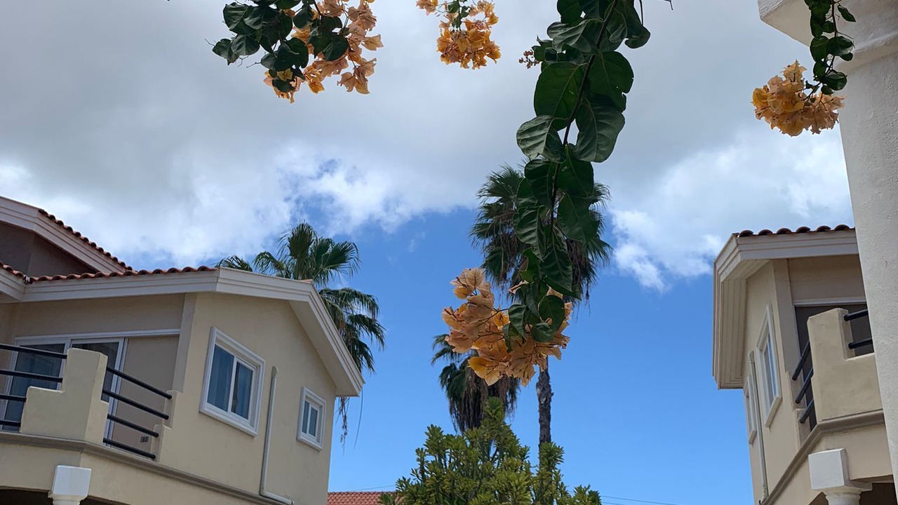 Photo of Outdoor in Alto Vista