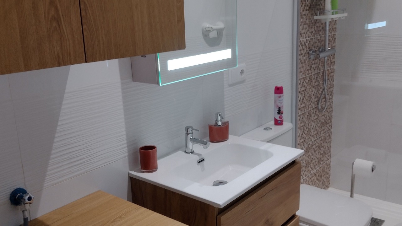 Photo of Bathroom in Playa Flamenca