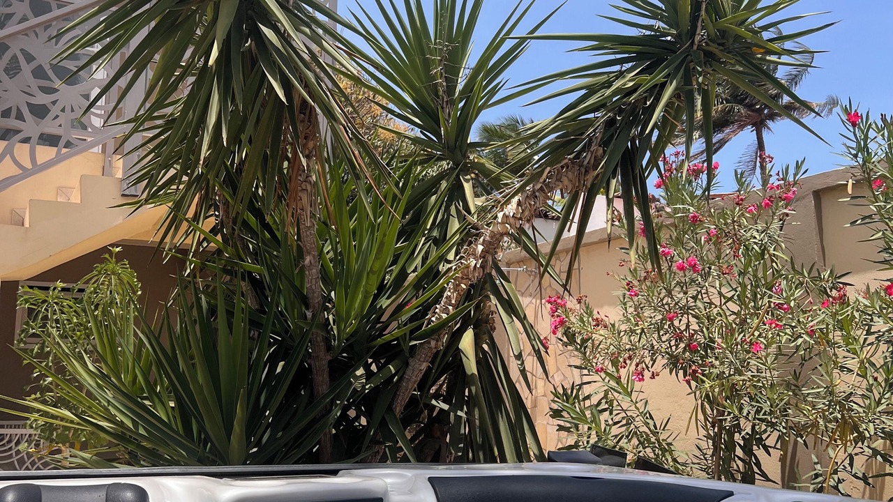 Photo of Outdoor in Turibana