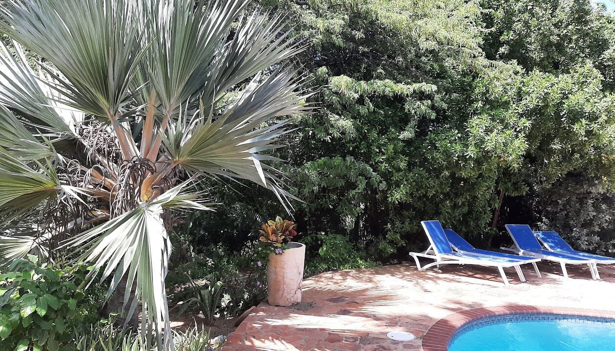 Photo of Outdoor in Rancho