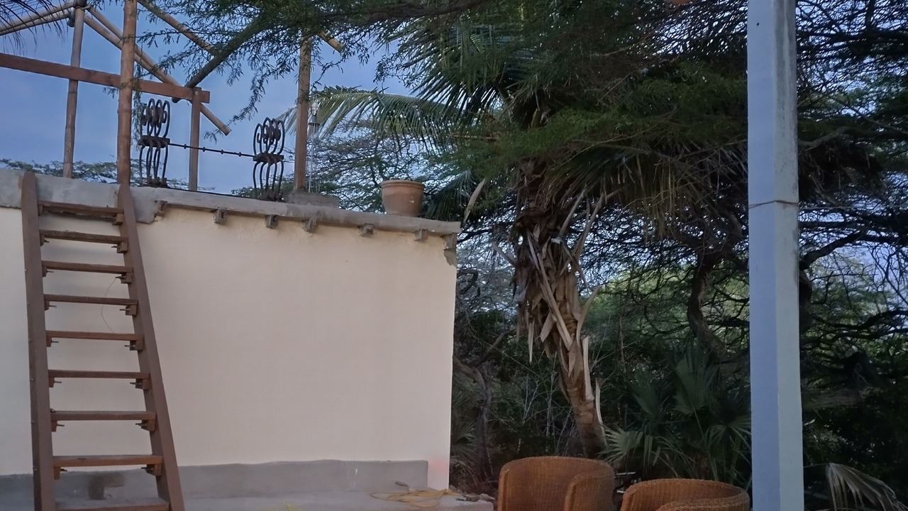 Photo of Outdoor in Savaneta