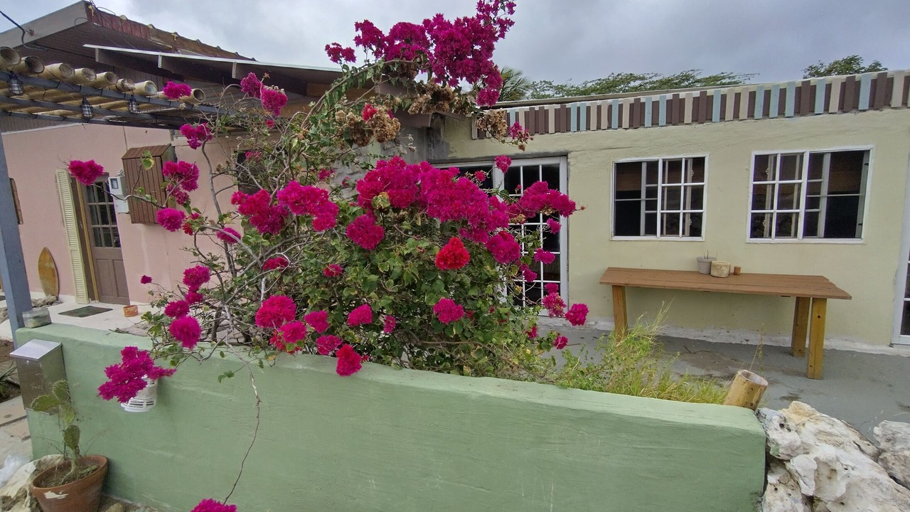 Photo of Outdoor in Savaneta