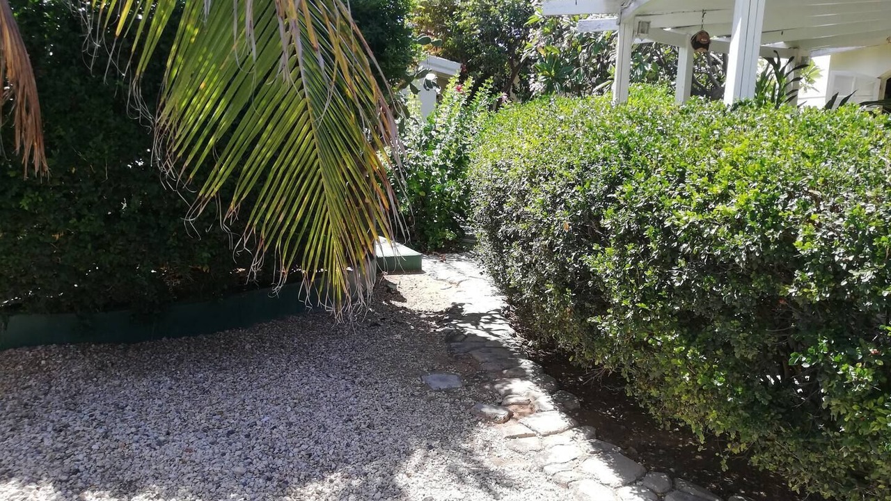 Photo of Outdoor in Oranjestad