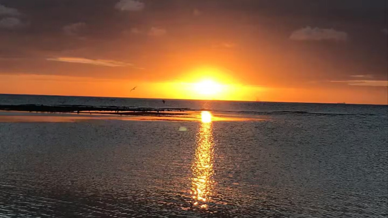 Photo of Others in Oranjestad