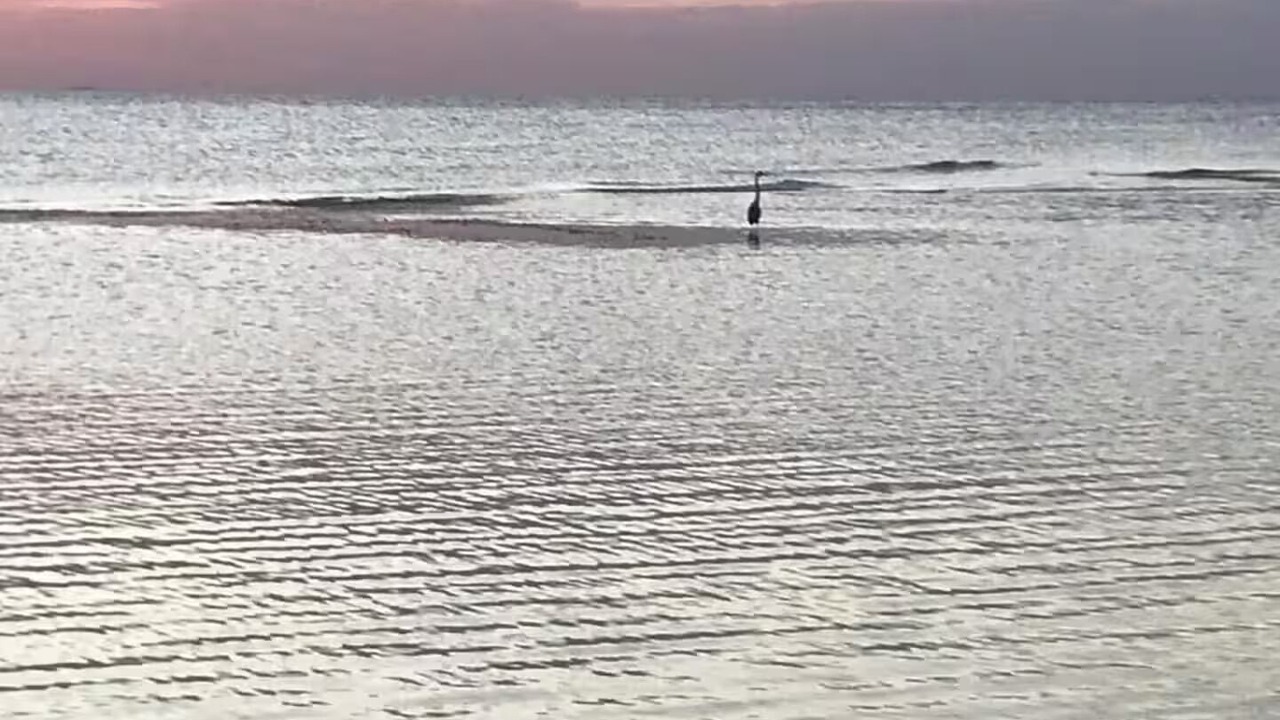Photo of Others in Oranjestad