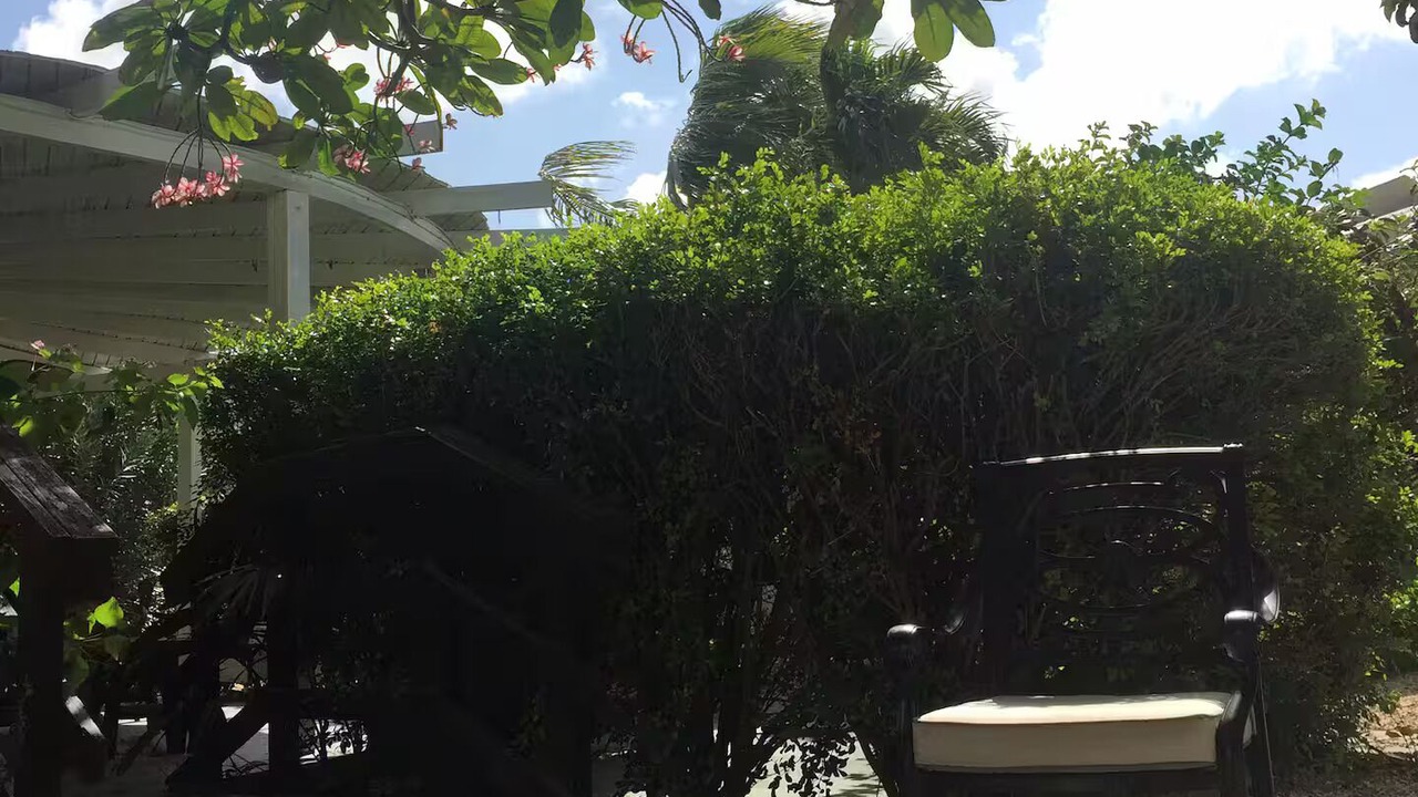 Photo of Outdoor in Oranjestad