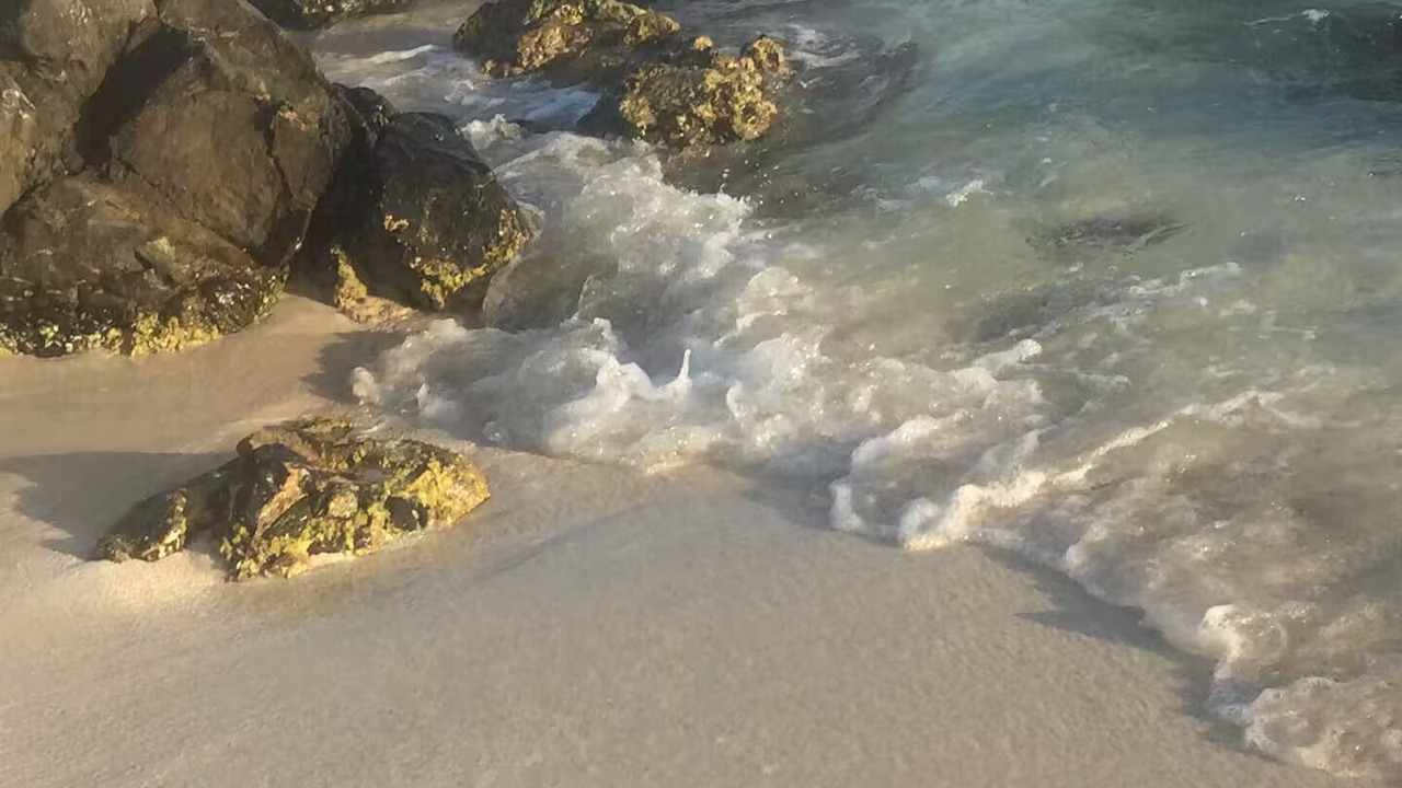Photo of Others in Oranjestad