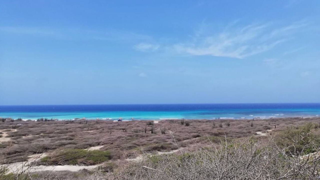 Photo of Others in Oranjestad
