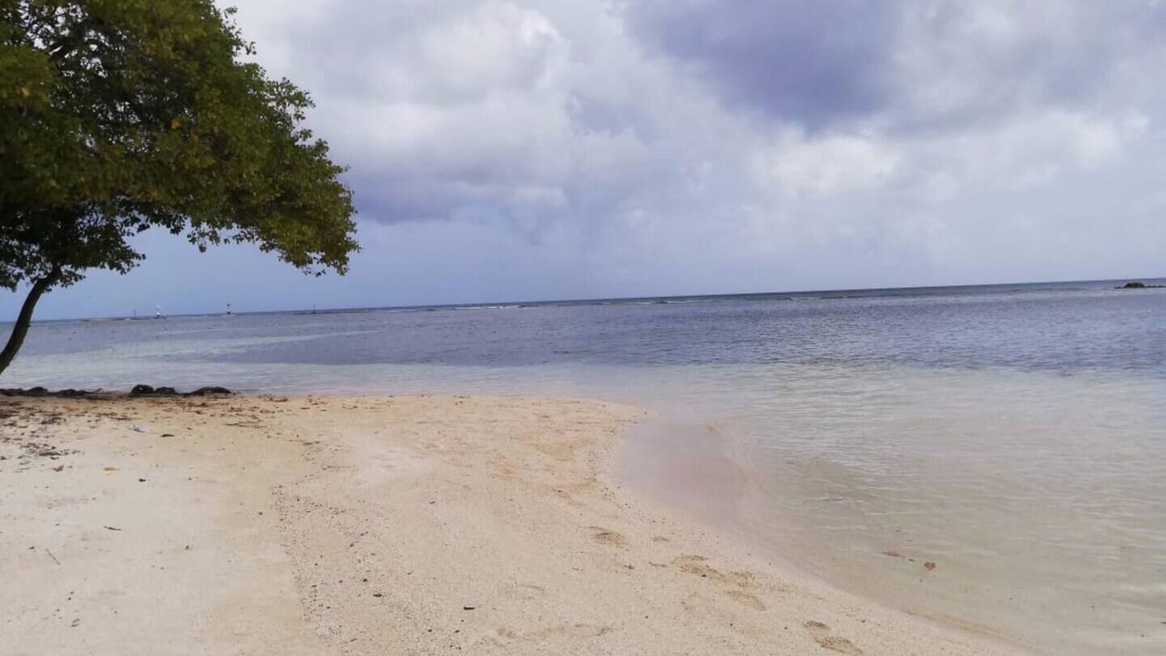 Photo of Others in Oranjestad