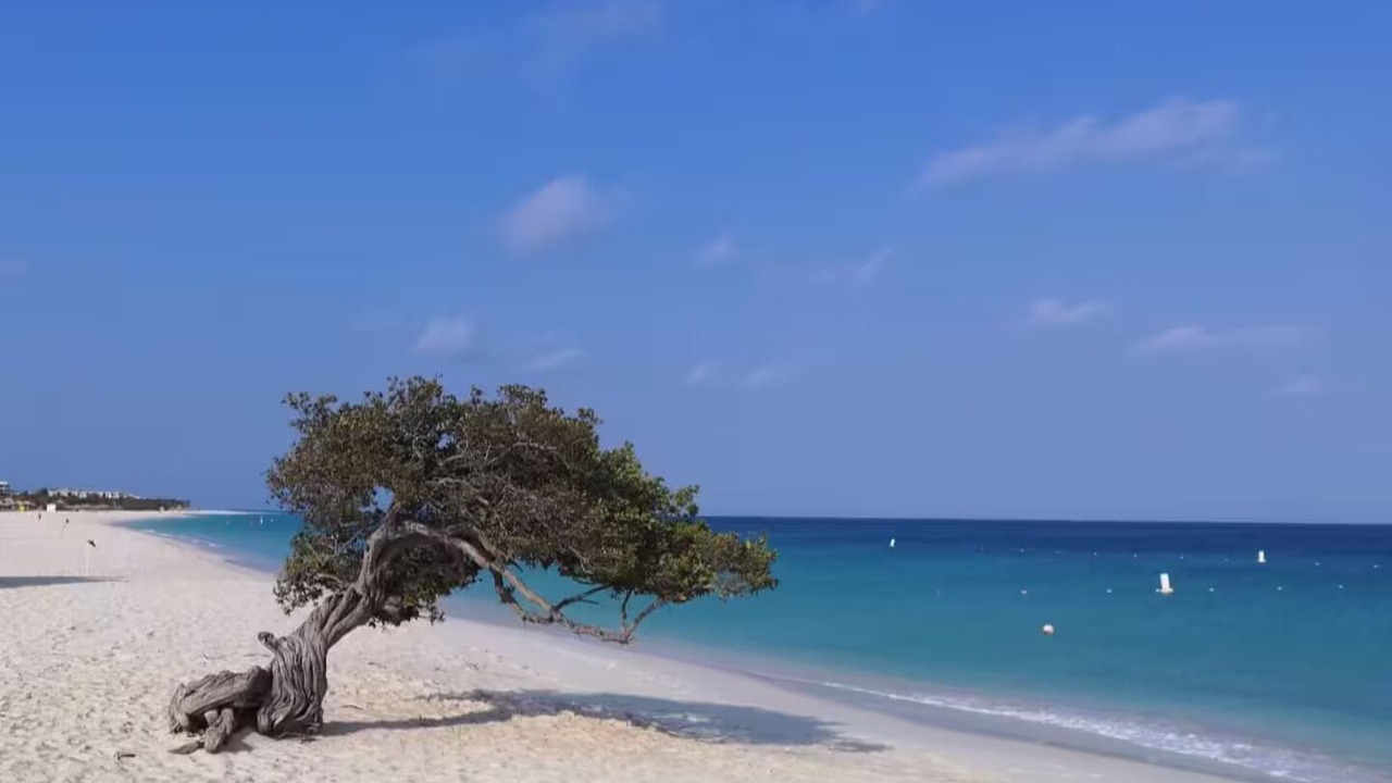 Photo of Others in Oranjestad