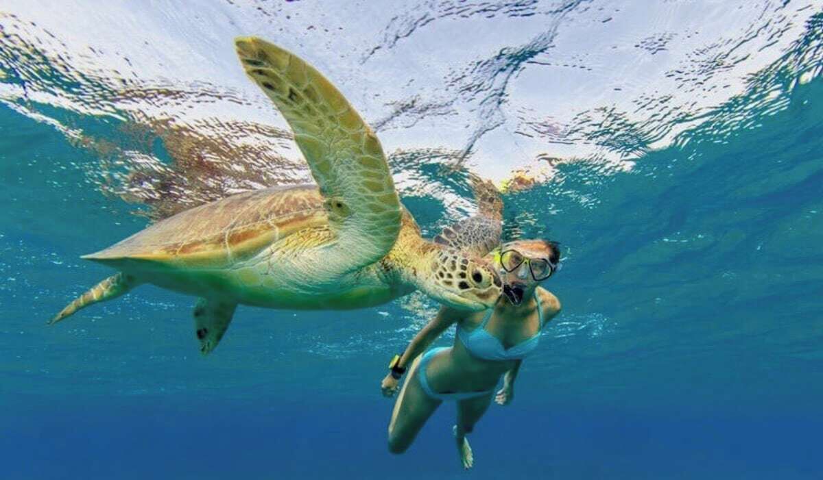 Photo of Others in Gold Coast
