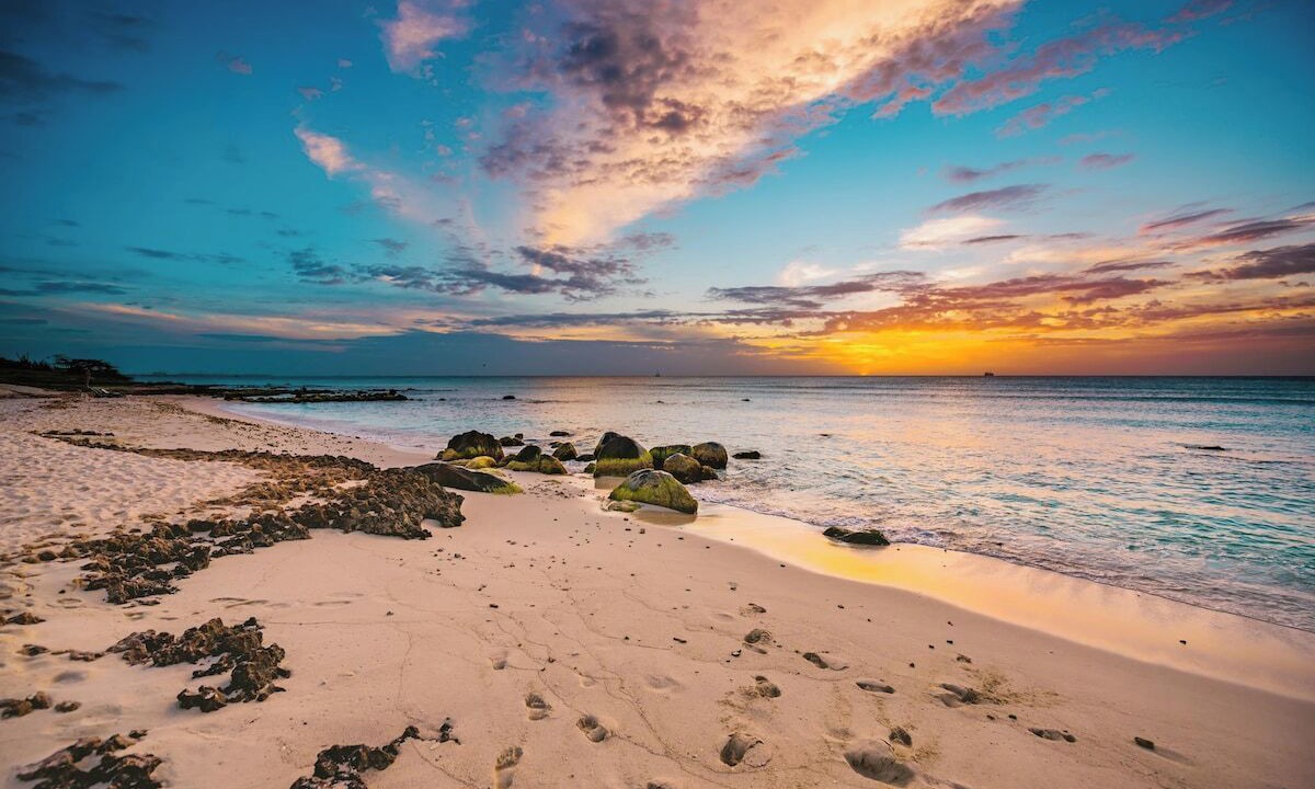 Photo of Others in Gold Coast