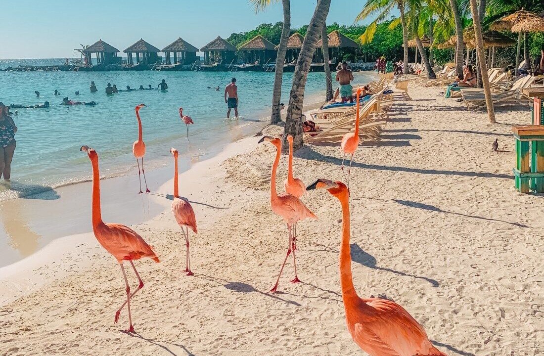 Photo of Others in Oranjestad