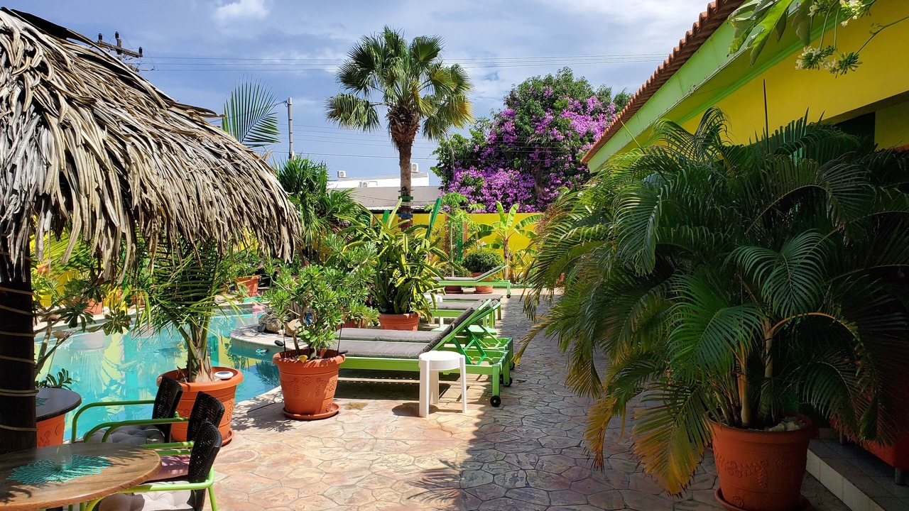 Photo of Outdoor in Punto de Oro