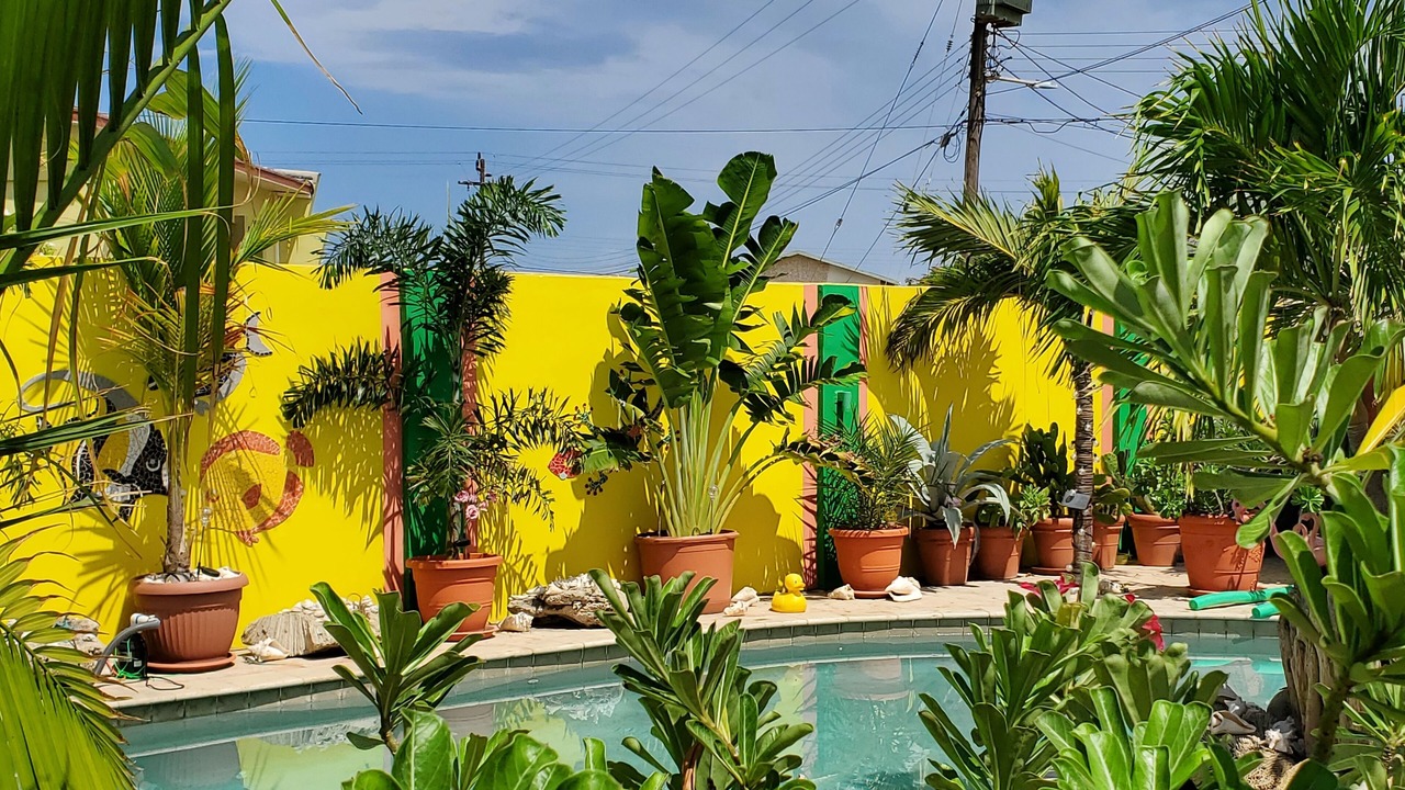Photo of Outdoor in Punto de Oro