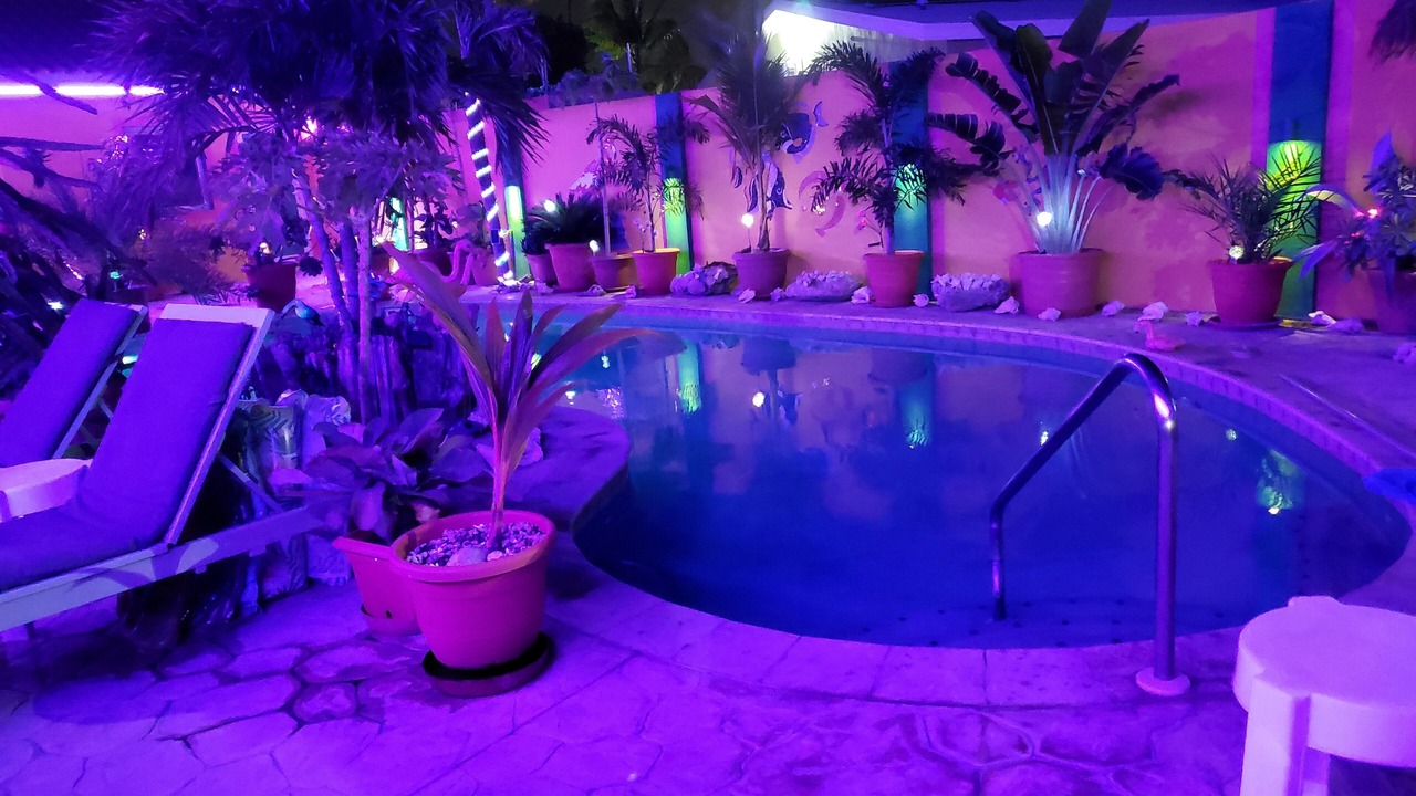 Photo of Outdoor in Punto de Oro