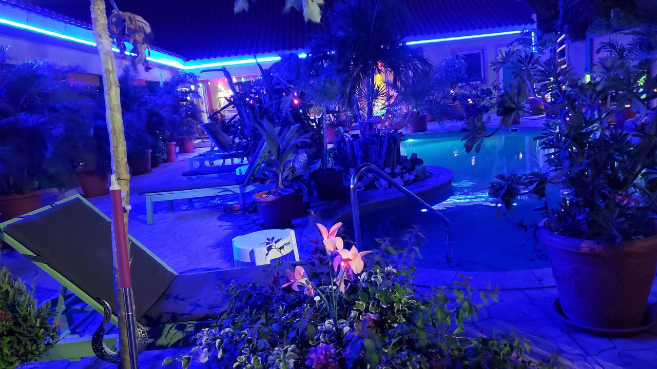 Photo of Outdoor in Punto de Oro
