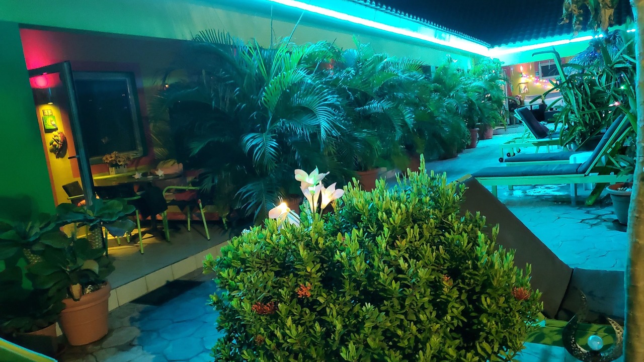 Photo of Outdoor in Punto de Oro