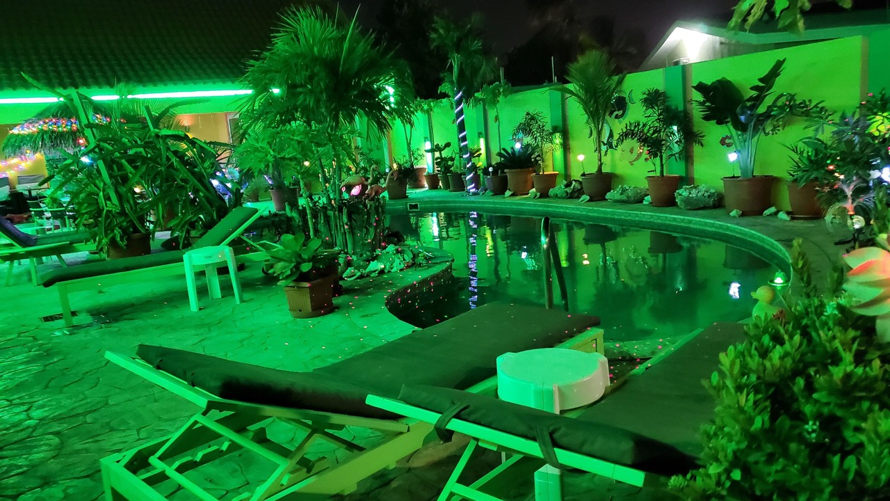 Photo of Outdoor in Punto de Oro