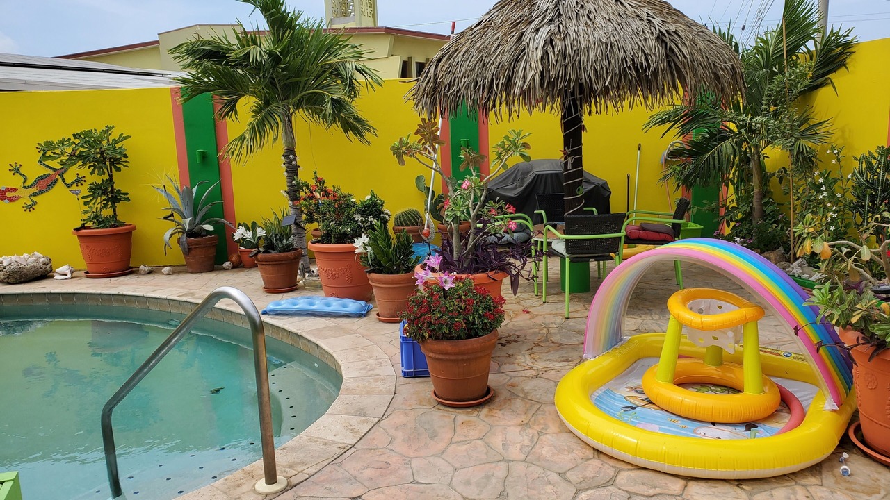 Photo of Outdoor in Punto de Oro
