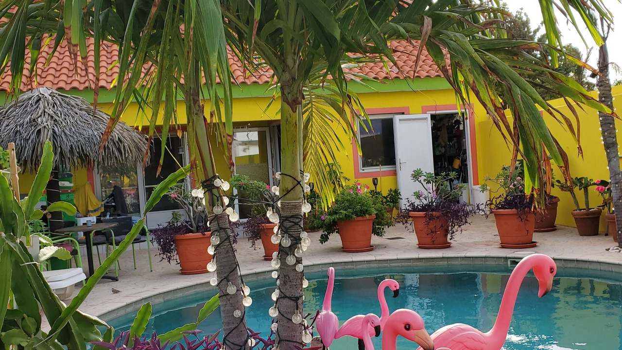 Photo of Outdoor in Punto de Oro