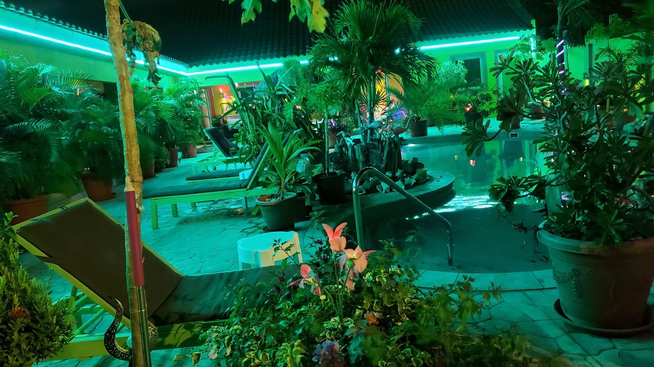 Photo of Outdoor in Punto de Oro